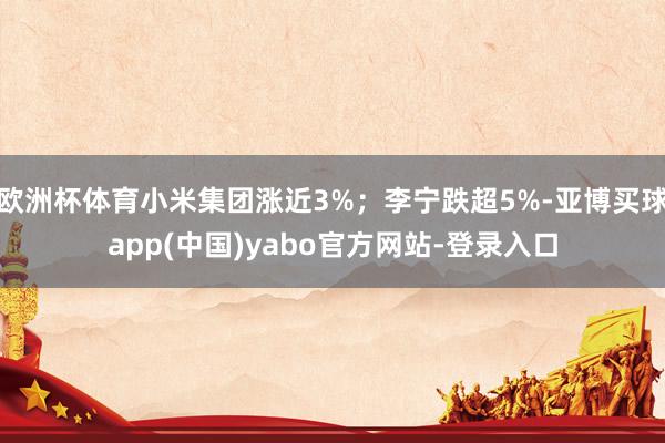 欧洲杯体育小米集团涨近3%；李宁跌超5%-亚博买球app(中国)yabo官方网站-登录入口
