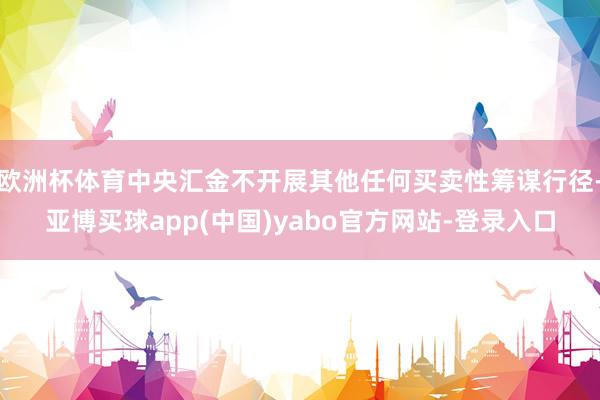 欧洲杯体育中央汇金不开展其他任何买卖性筹谋行径-亚博买球app(中国)yabo官方网站-登录入口