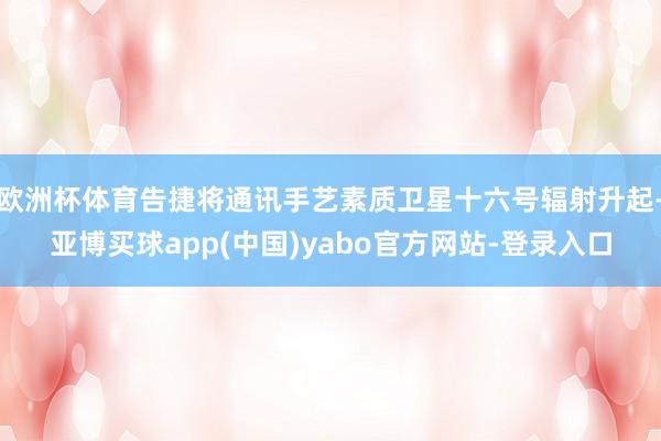 欧洲杯体育告捷将通讯手艺素质卫星十六号辐射升起-亚博买球app(中国)yabo官方网站-登录入口
