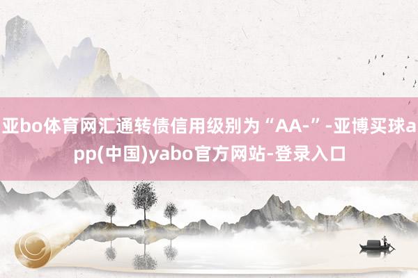 亚bo体育网汇通转债信用级别为“AA-”-亚博买球app(中国)yabo官方网站-登录入口